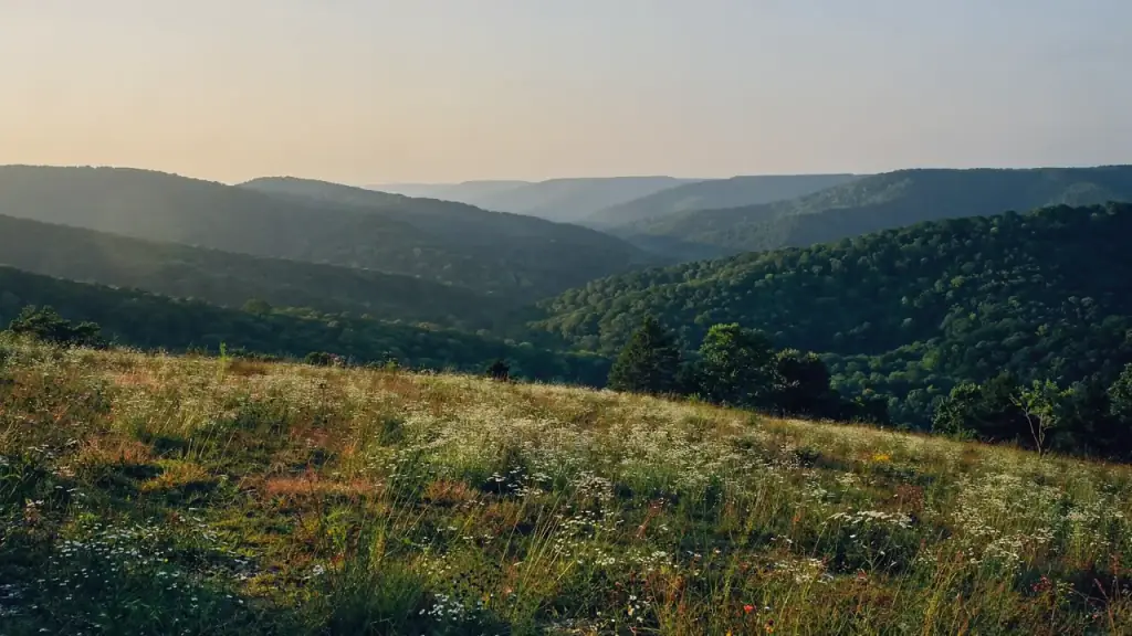 Wildflower meadow above layered forested ridgelines in the Arkansas Ozarks
